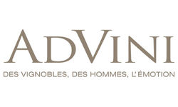 LOGO_ADVINI